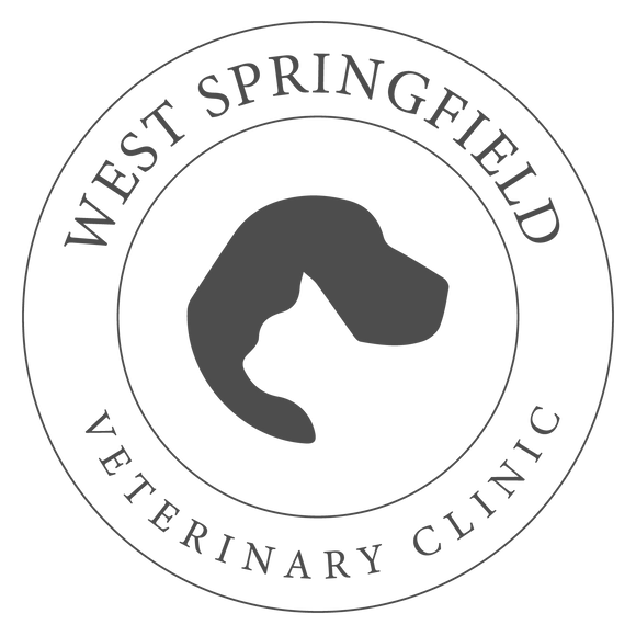 West Springfield Veterinary Clinic